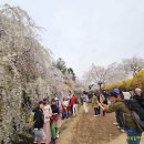 국립서울현충원 이미지