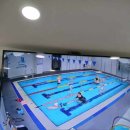 아이나래풀 이미지