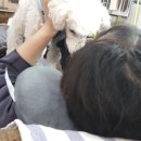 헤어세상 이미지