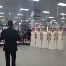 2019년 거리로 나온 예술 이미지