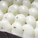 술이술떡 | 고래술떡 잔기지떡 1 5kg 기정떡 괜찮을까? 선택 기준 장단점