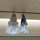 더 홈 | 촬영 2부 드레스 맛집 가니송 더뉴홈 한남 솔직후기