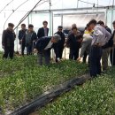 대지영농조합법인 이미지