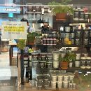 고려유통 | 러쉬 세일 | LUSH 프레쉬 세일 매장 대기 &amp; 온라인 구매 후기, 세일 제품 유통기한, 추천템