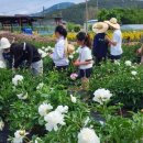 김제교육문화회관 이미지