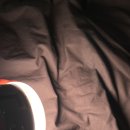 소형조명은 알파믹 보름달조명 가성비 최고