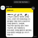 유성구보건소 | 대전 유성구 보건소 임산부 등록ㆍ26년 선물ㆍ맘편한임신 통합 신청