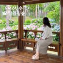 서산경찰서 개방화장실 | 충남 서산 모월힐링숲 무료개방 수국 정원