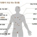 원정탕 이미지