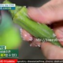 오크라 이미지