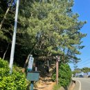 망산카페 이미지