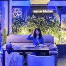 보헤미안음악카페 이미지