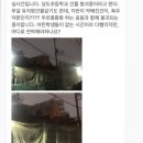 서울 상도초등학교 갑작스럽게 붕괴중 (사진추가) 이미지