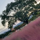 간석1동-27 이미지