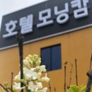 호텔 모닝캄 | 충청북도 음성군 호텔 모닝캄, 가격, 가는법, 후기