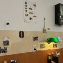 마마도마 이미지