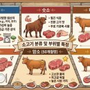 우보유통 | 미경산한우의 뜻과 특징을 알아보자. (소고기 분류, 고급 소고기)