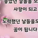 대현법무사사무소