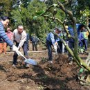 상예동-14 이미지