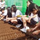 흥선농장 이미지