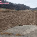 인지리경로당 네이버블로그
