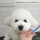 인물나개 이미지