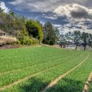 해변길 51 이미지