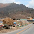 덕상1리 이미지