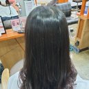 카이로스프로헤어