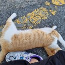 삼천포부부한의원 이미지