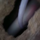 광주배관고압세척 믿을 수 있는 배관 해결사, 오케이솔루션 후기