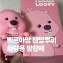 루피네 | 벨르아망 잔망루피 차량용 방향제 후기(디올뉴코나 설치 후기 &amp; 향 리뷰)