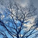 처남목장 이미지