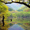 제11공원 Daum카페