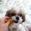 봉봉다락방