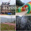 대구 근교 당일치기 여행지 청도 가볼 만한 곳 코스