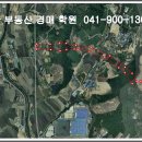 해제-1호 이미지