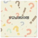 부모님 해외여행 대만 타이베이 다낭 치앙마이 세부 3박 4일 총정리