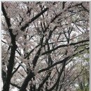 얼음골 봄 이미지