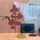 날나리노래방 앞(공원방면) | 부산 이색 데이트 추천 연인들도 아이들도 좋아하는 동래 해양 자연사 박물관