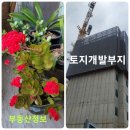 경보부동산중개사무소 네이버블로그