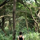 제주 비자림 숲속 스냅촬영 후기 – 니콘 D810으로 담아낸 제주스냅의 감성