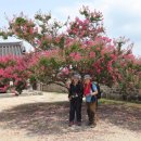 별빛뜨락 이미지