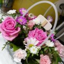 와와리저브 이미지