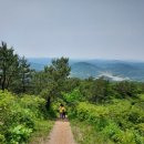 겸백면사무소 이미지