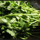 건강예찬 이미지