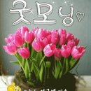 운동길 이미지
