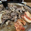 마포농장 이미지