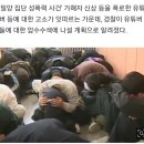 경찰, '밀양 폭로' 유튜버들, 압수수색 나설 예정 이미지