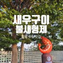 불새형제 이미지